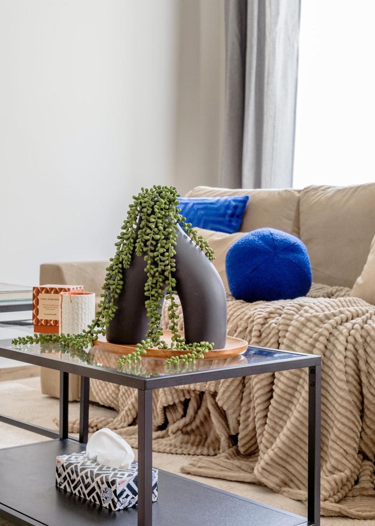 Central Oasis - Modern Charm, Timeless Comfort *